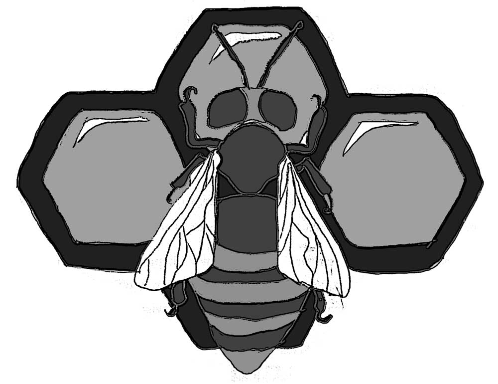 Automazioni & Integrazioni