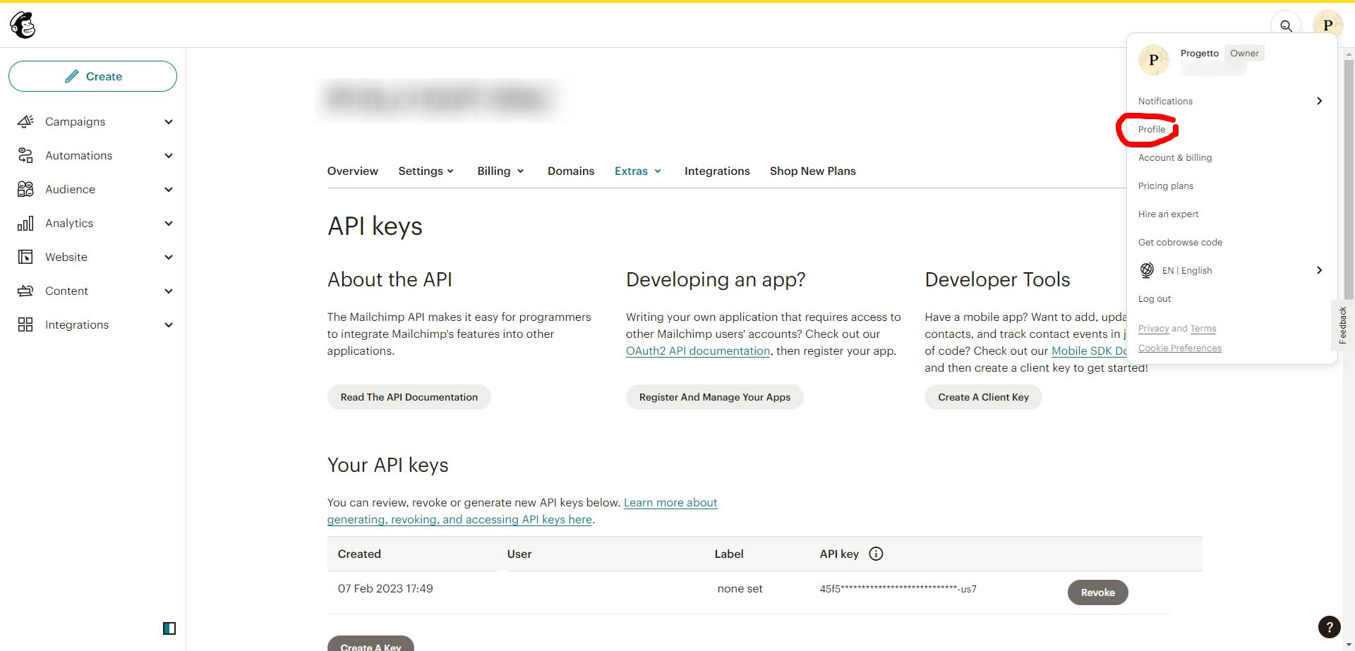 Come Creare Una Chiave Api Su Mailchimp