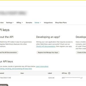 Come Creare Una Chiave Api Su Mailchimp