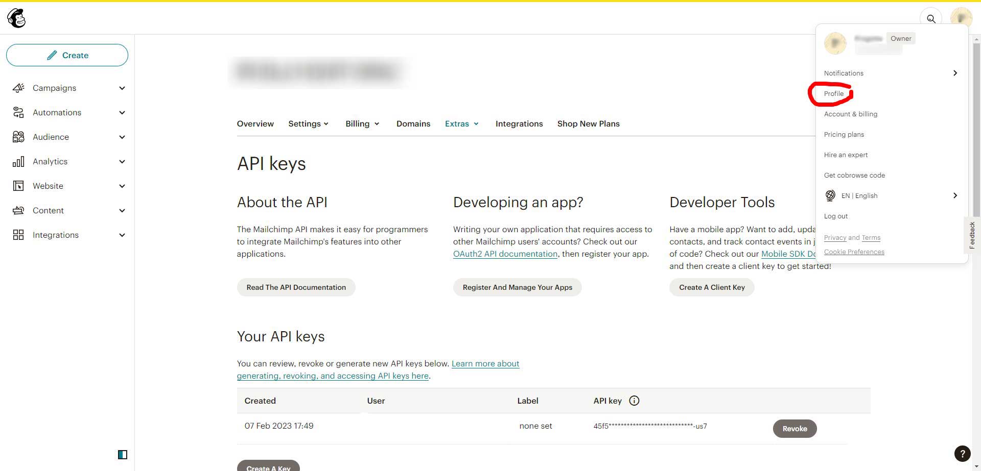 Come Creare Una Chiave Api Su Mailchimp
