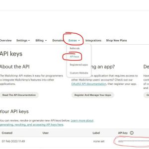 Come Creare Una Chiave Api Su Mailchimp