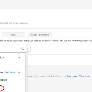 Google Merchants – Come Usare Le Regole Del Feed